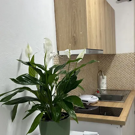 Meraki Center טיראנה